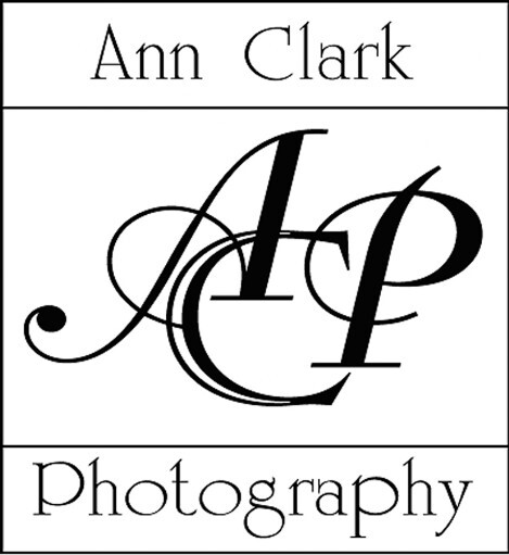 Ann Clark Photography logo