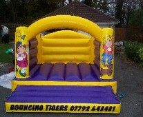 Bouncing Tigers of Neath Bouncy Castles for Weddings