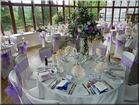 pale purple chair ribbons on white covered chairs for a wedding reception in the conservatory at Craig y Nos Castle