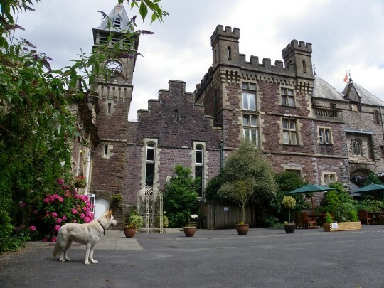 Craig y Nos Castle Wedding Venue Swansea Front Courtyard with Sheeba white alsation in the foreground