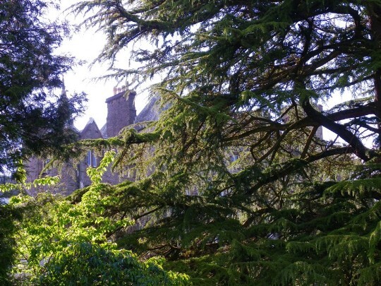 Craig y Nos Castle seen through the branches of tall trees in the lower gardens
