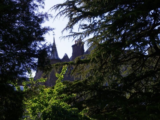 Craig y Nos Castle Wedding Venue Swansea as seen from lower gardens through tall trees