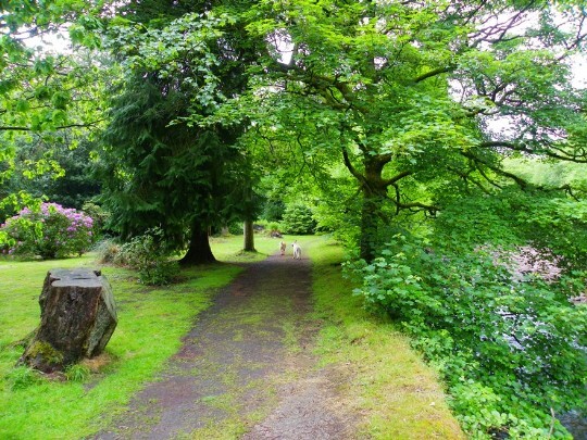 Craig y Nos Castle path alongside the river Tawe in the Lower Gardens