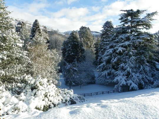 Snow covered tall trees and gardens at Craig y Nos Castle Winter Wedding venue South Wales