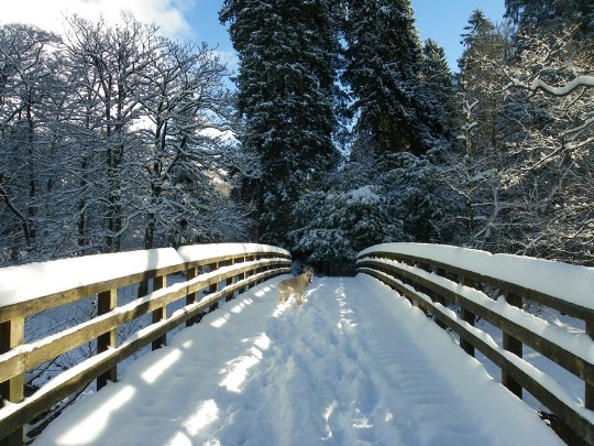 Craig y Nos Country Park snow covered bridge over river Tawe