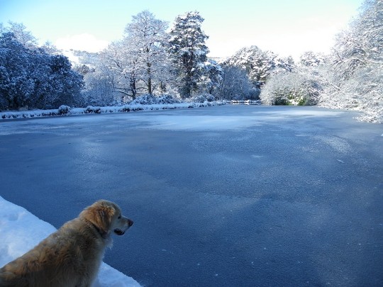 Craig y Nos Castle Country Park large lake covered in ice, paths and trees snow covered