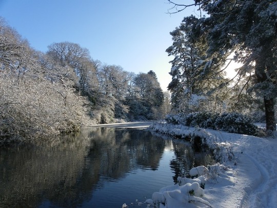 Craig y Nos Country Park snow covered trees and paths beside the large lake