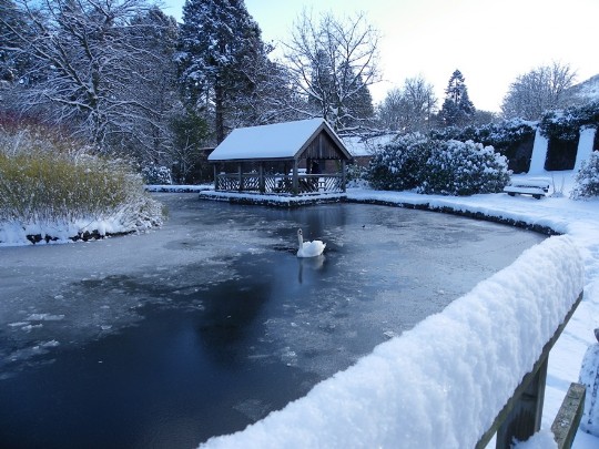 Craig y Nos Country Park Boating Lake and Boathouse in winter snow and ice