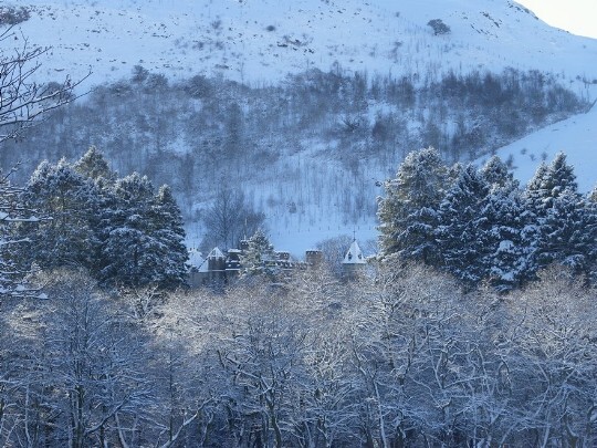 View of Craig y Nos Castle Wedding Venue almost hidden in trees, seen from Craig y Nos Country Park fields