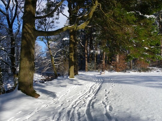 Craig y Nos Country Park main path beside River Tawe in Winter snow