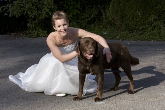 Craig y Nos Castle Dog Friendly Wedding Venue in South Wales picture of bride with dog