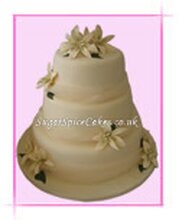 Sugar Spice Cakes Wedding Cakes Swansea